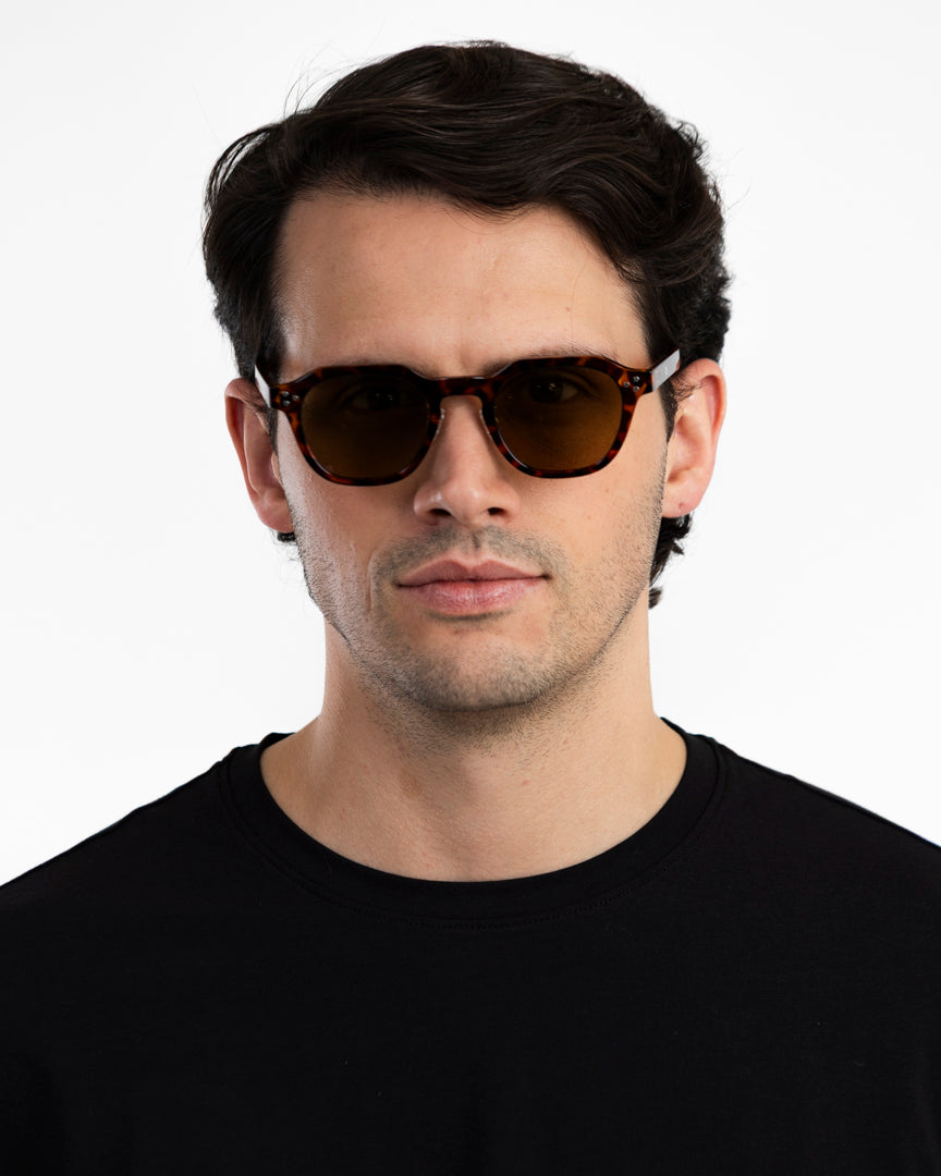 Montecarlo - Carey / Walnut Brown